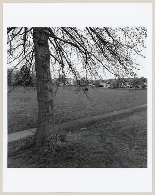 Walnut Hill Park, New Brittan, Connecticut