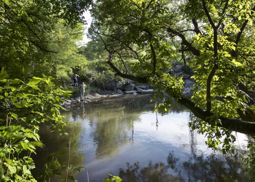 An Enduring Wilderness: Don River, Crothers Woods, Toronto