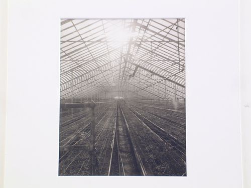 View of the interior of a large greenhouse, from the series Greenhouse