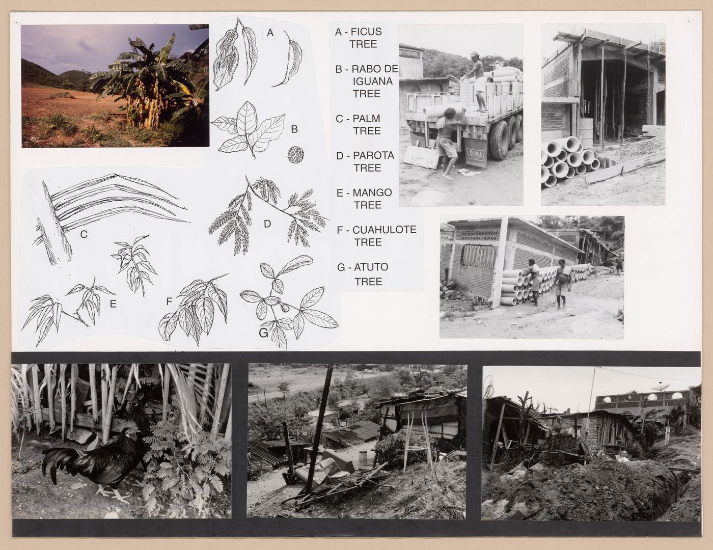 Presentation panel with photographs of plant life and draining systems for the Urban Upgrading project La Esperanza, in Zihuatanejo, Mexico