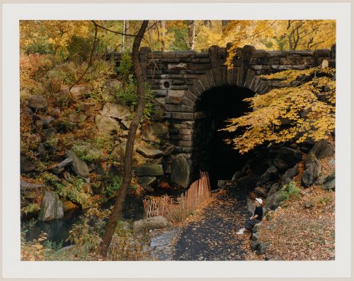 Viewing Olmsted: View of Glen Span Bridge, Central Park, Manhattan, New York City, New York