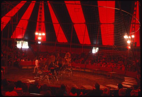 Circus, Kassel, Germany