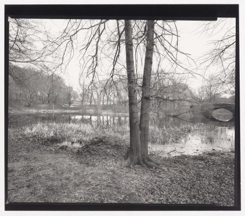 Scarboro Pond, Franklin Park, Boston, Massachusetts