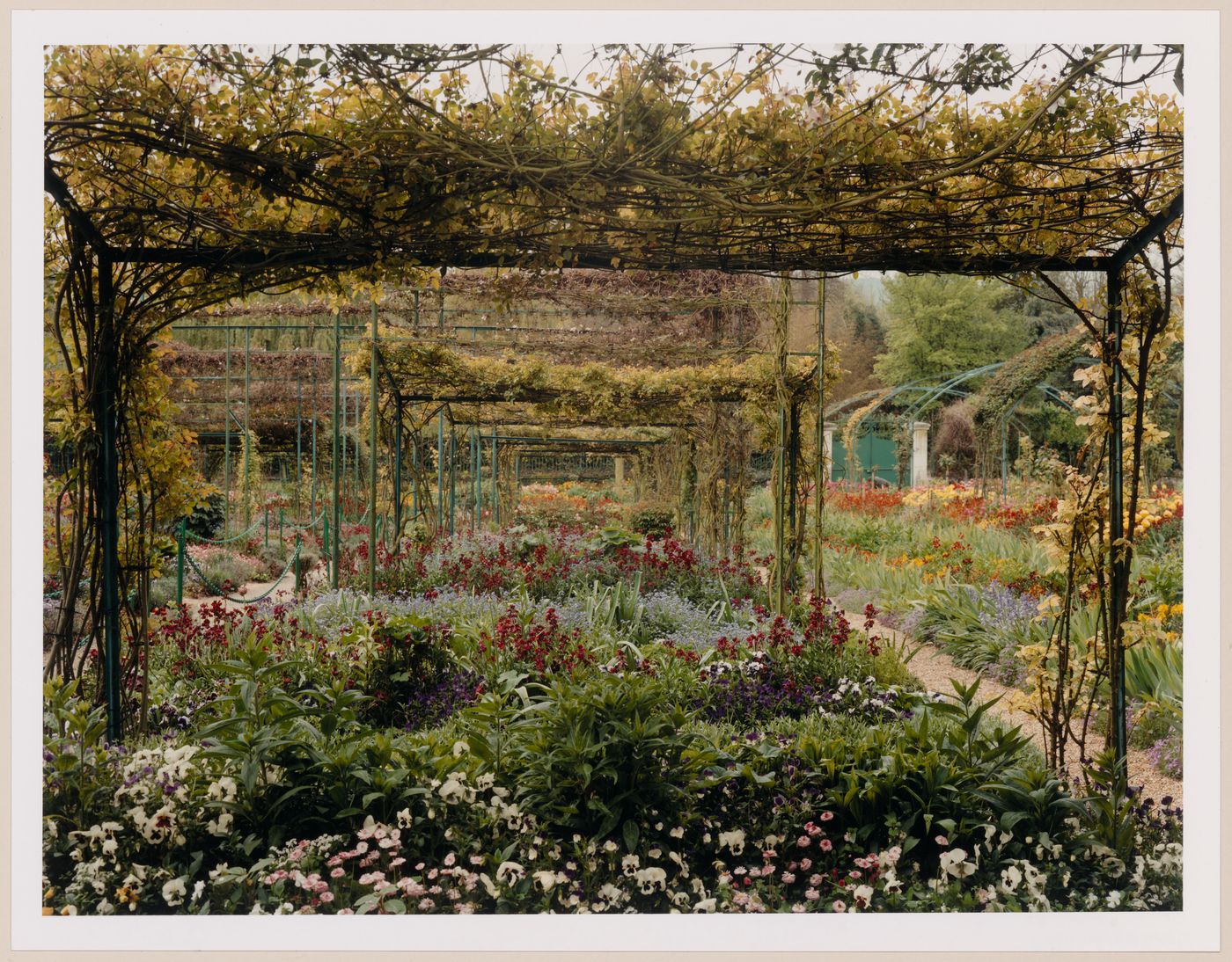 The "tombs" and the pergolas in the Spring, Monet Gardens, Giverny, France