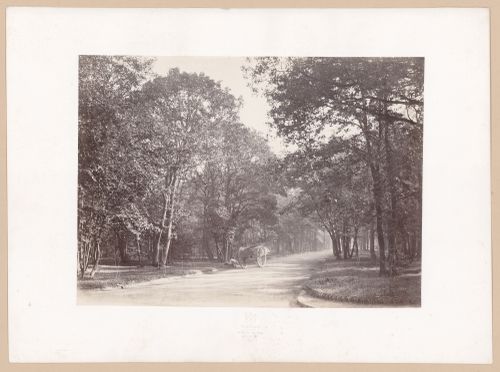 View of park, France