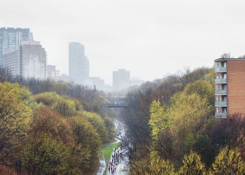 An Enduring Wilderness: Marathon run, Rosedale Valley Ravine Lands, Toronto
