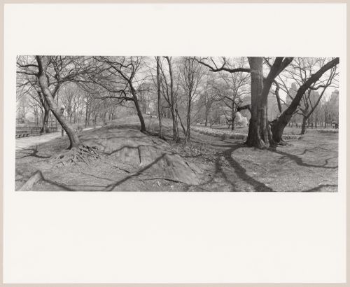 Adjacent to the Mall, Central Park, New York City, New York