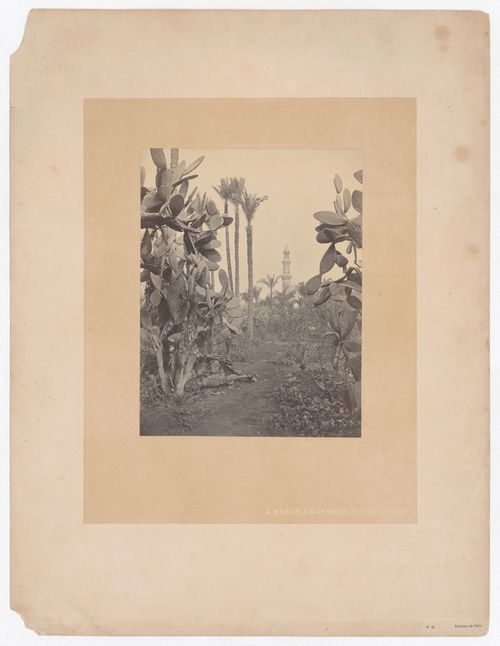 Environs du Caire
