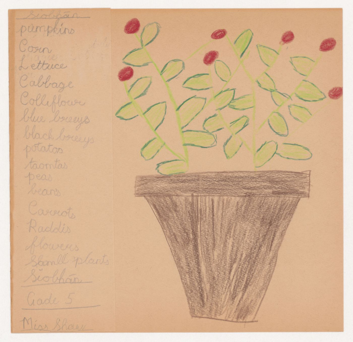Child's drawing and list of fruits and vegetables for the ideal garden