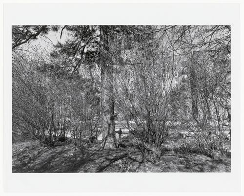 Prospect Park, Brooklyn, New York City, New York