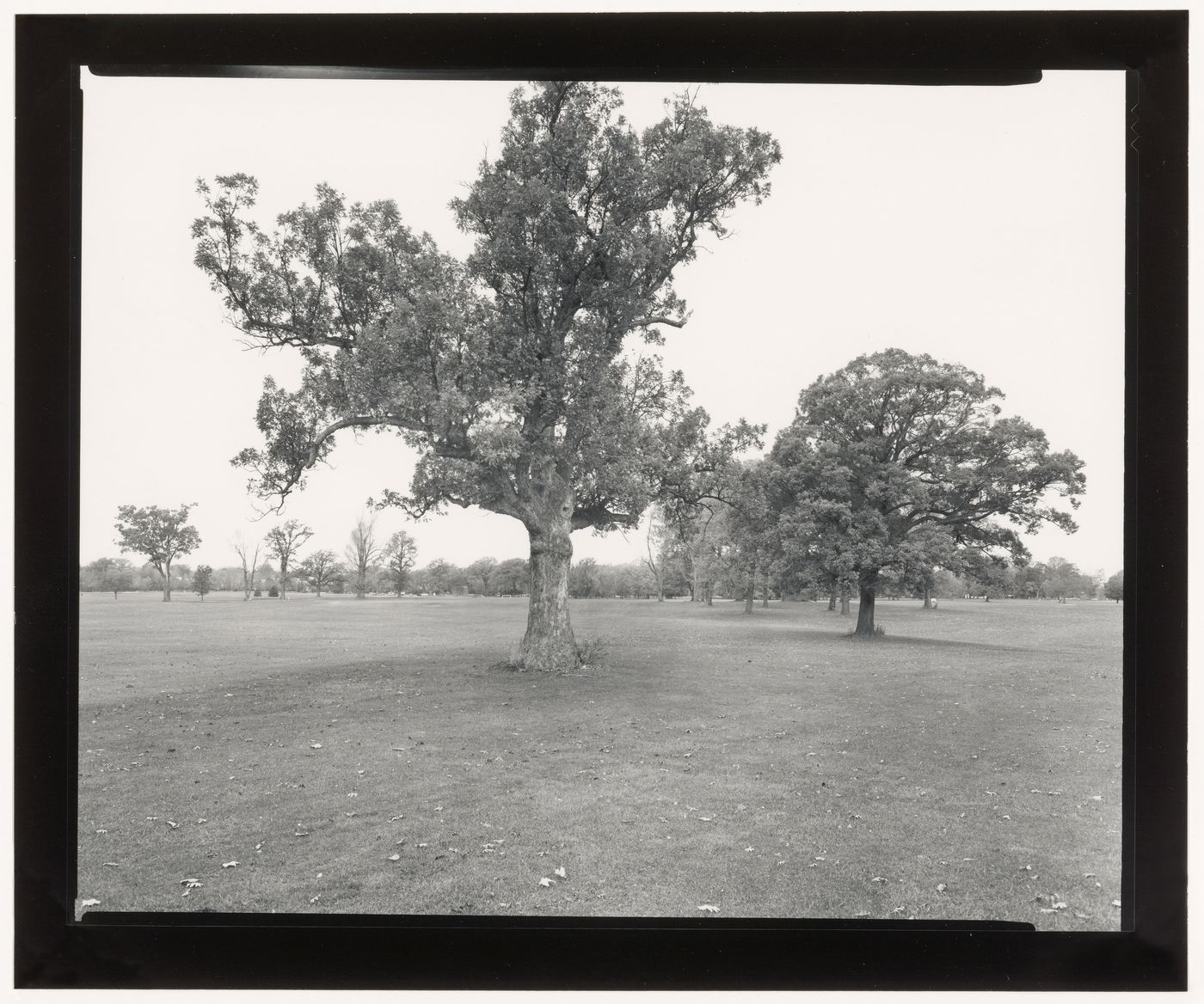 Delaware Park, Buffalo, New York