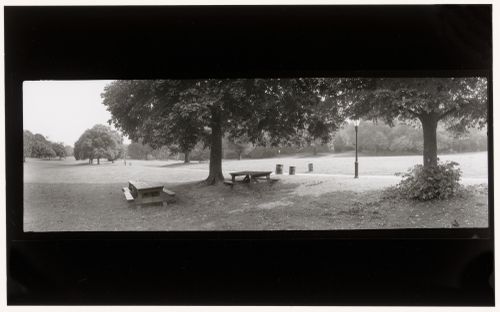 Long Meadow, Prospect Park, Brooklyn, New York City, New York