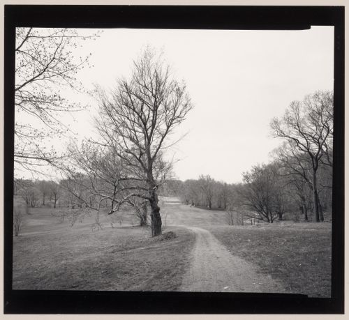 Country meadow, looking down from Scarboro Hill, Franklin Park, Boston, Massachusetts