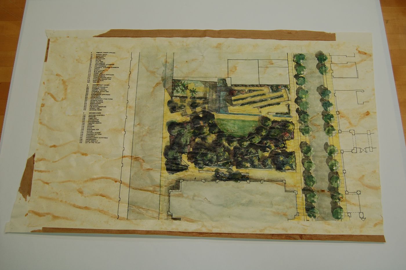 Landscape plan for the competition for Bay Adelaide Park, Toronto