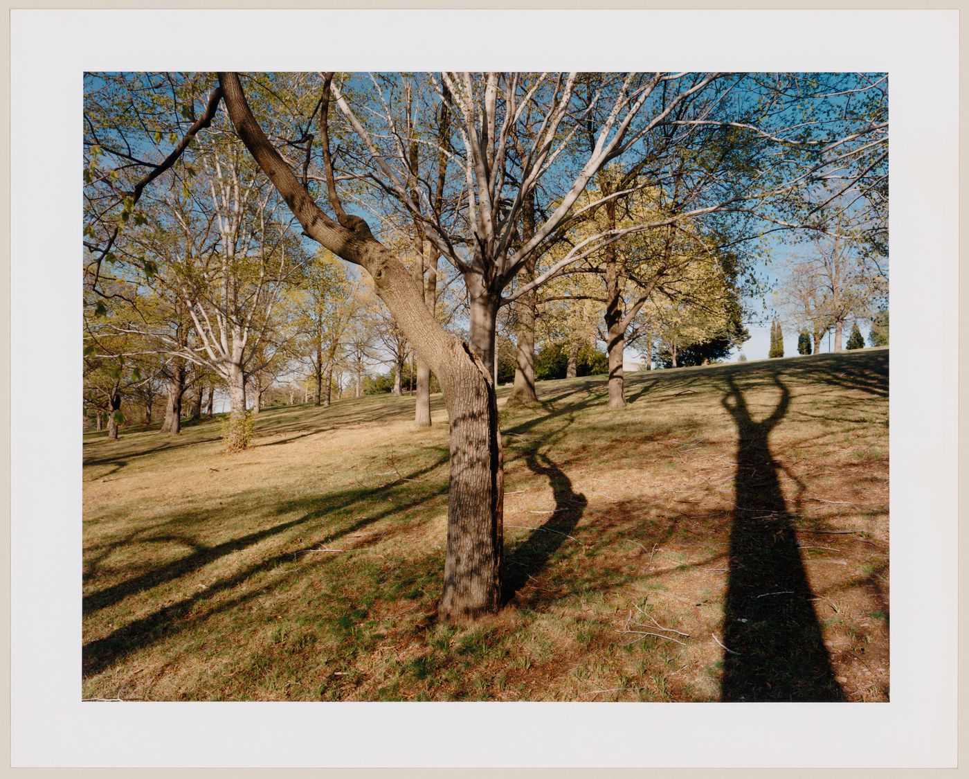 Viewing Olmsted: View towards the summit of the hill, Walnut Hill Park, New Britain, Connecticut