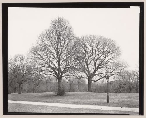 Long Meadow, Prospect Park, Brooklyn, New York City, New York