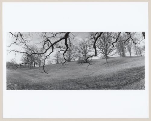 "Biltmore", The George Vanderbilt Estate, Asheville, North Carolina