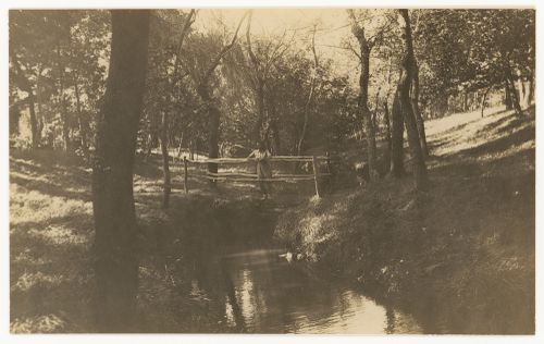 Photograph of Delfina Gálvez de Williams standing above the river on the site of Casa sobre el arroyo, Mar del Plata, Argentina