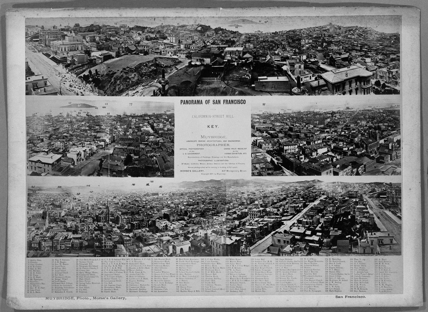 Plate from album ''Panorama of San Francisco from California Street Hill''