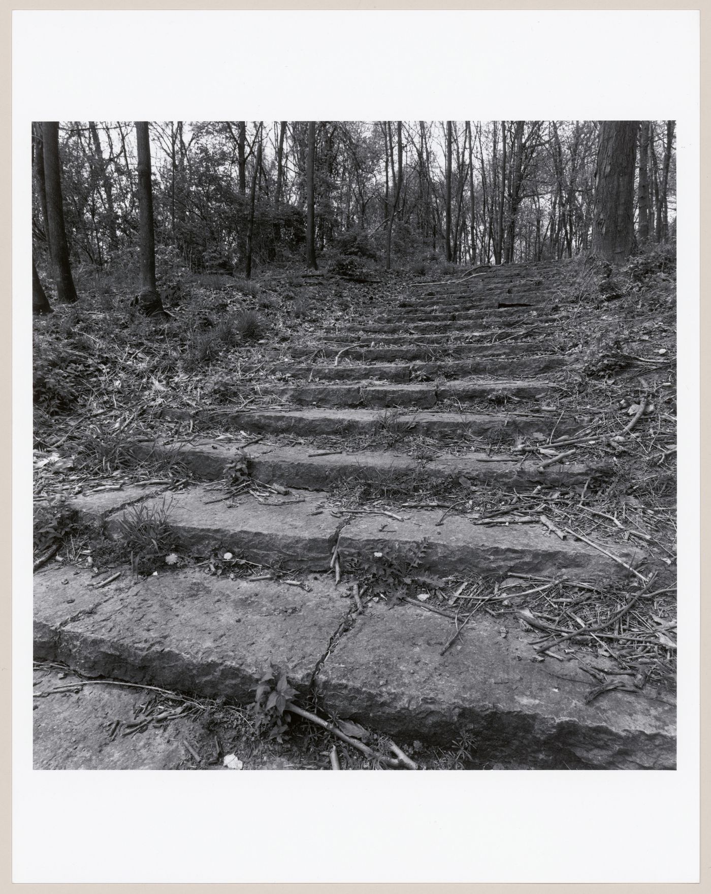 Cherokee Park, Louisville, Kentucky