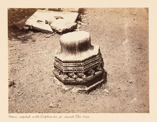 Close-up view a stone capital with reliefs of elephants, Bodhi Tree (also known as the Bo Tree) Enclosure, Anuradhapura, Ceylon (now Sri Lanka)