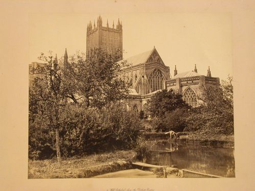 2 Wells Cathedral, from the Bishop's Garden