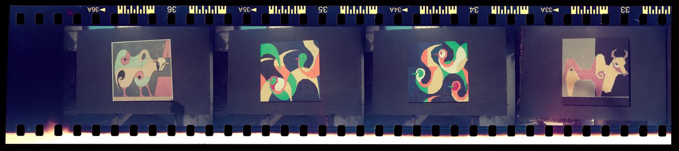 Photographic negatives of Aditya Prakash's artwork