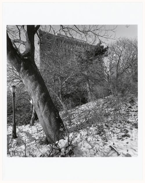 Prospect Park, Brooklyn, New York