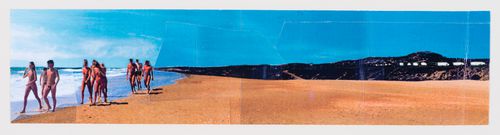 Collage, Parque Dunar, Doñana National Park, Spain