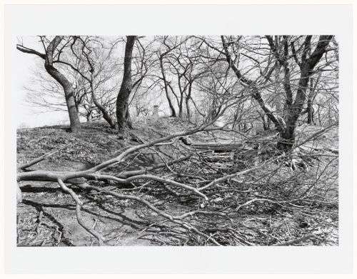 Prospect Park, Brooklyn, New York City, New York