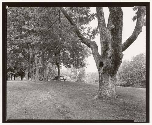 Fletcher's Field, Mount Royal, Montréal, Québec