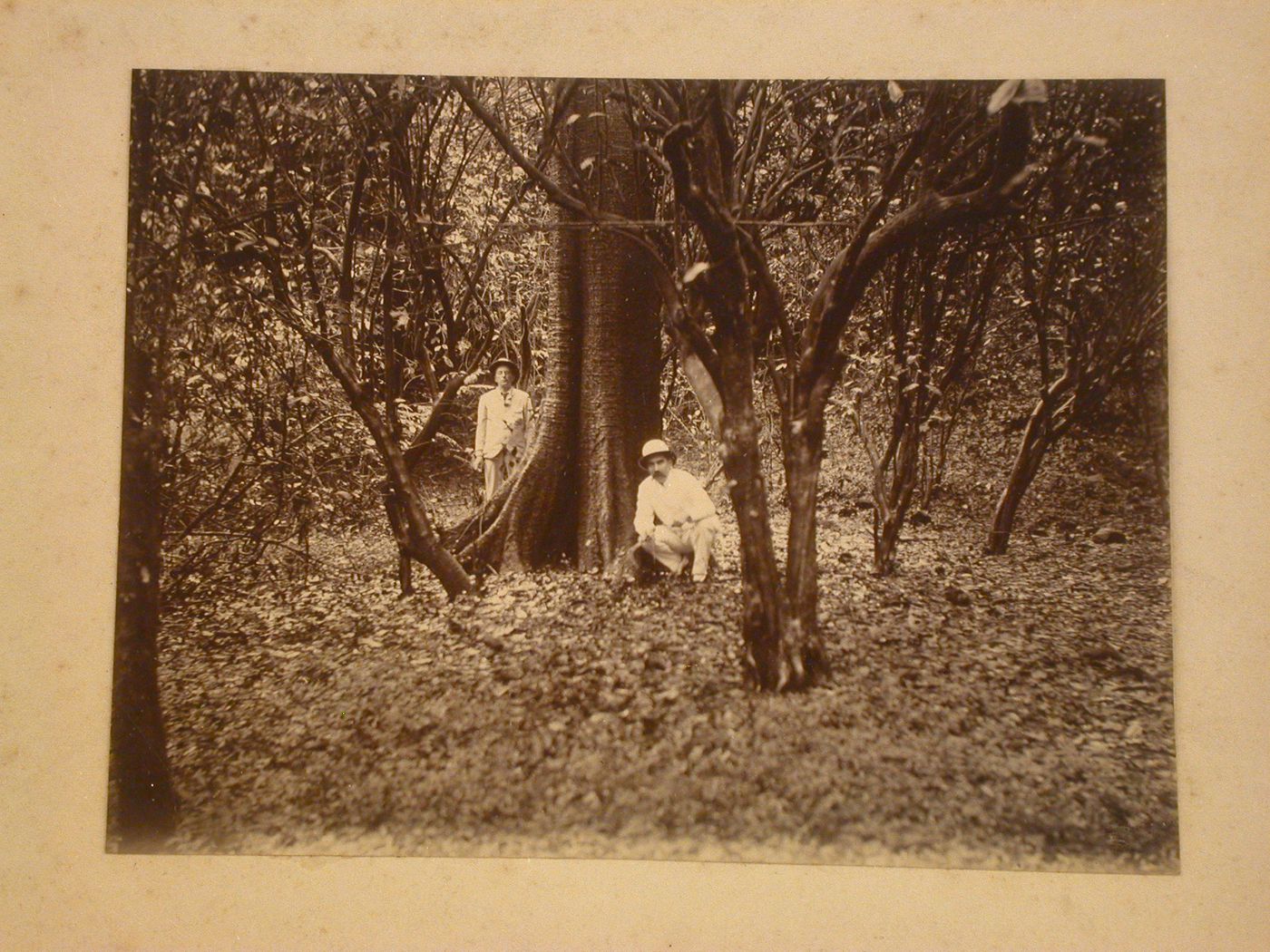 View of two men in a wooded area