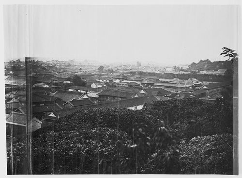 View of Edo (now Tokyo) showing daimyo residences, Japan