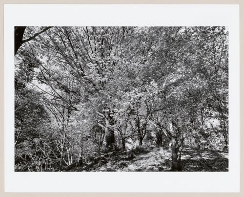 Highland Park, Rochester, New York