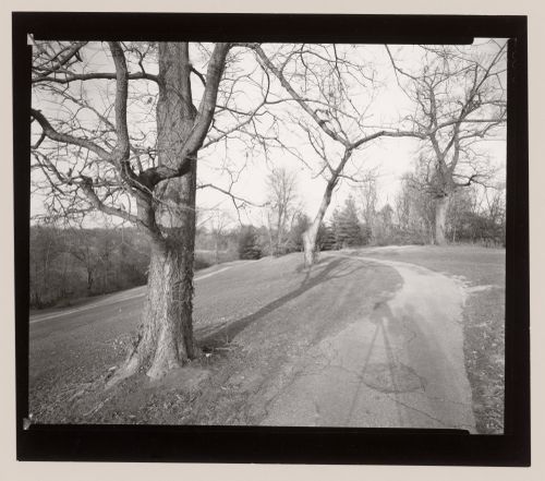 Golf course - evening (self-portrait), Cherokee Park, Louisville, Kentucky