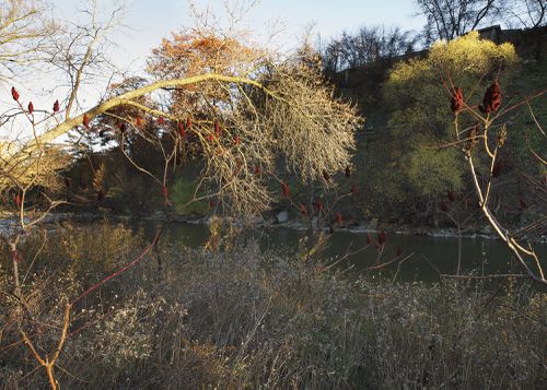 An Enduring Wilderness: Lambton Park, Toronto