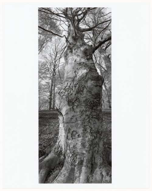 Franklin Park, Boston, Massachusetts