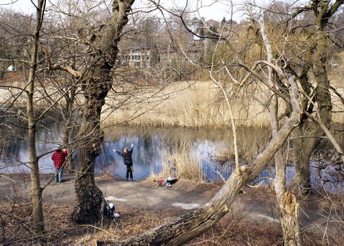 An Enduring Wilderness: Fishing on the Grenadier Pond, High Park, Toronto