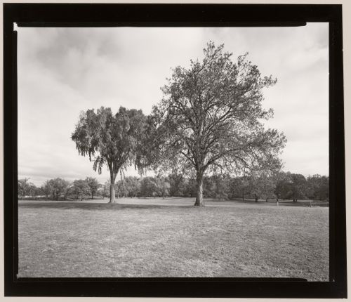 Meadow, Genesee Valley Park, Rochester, New York