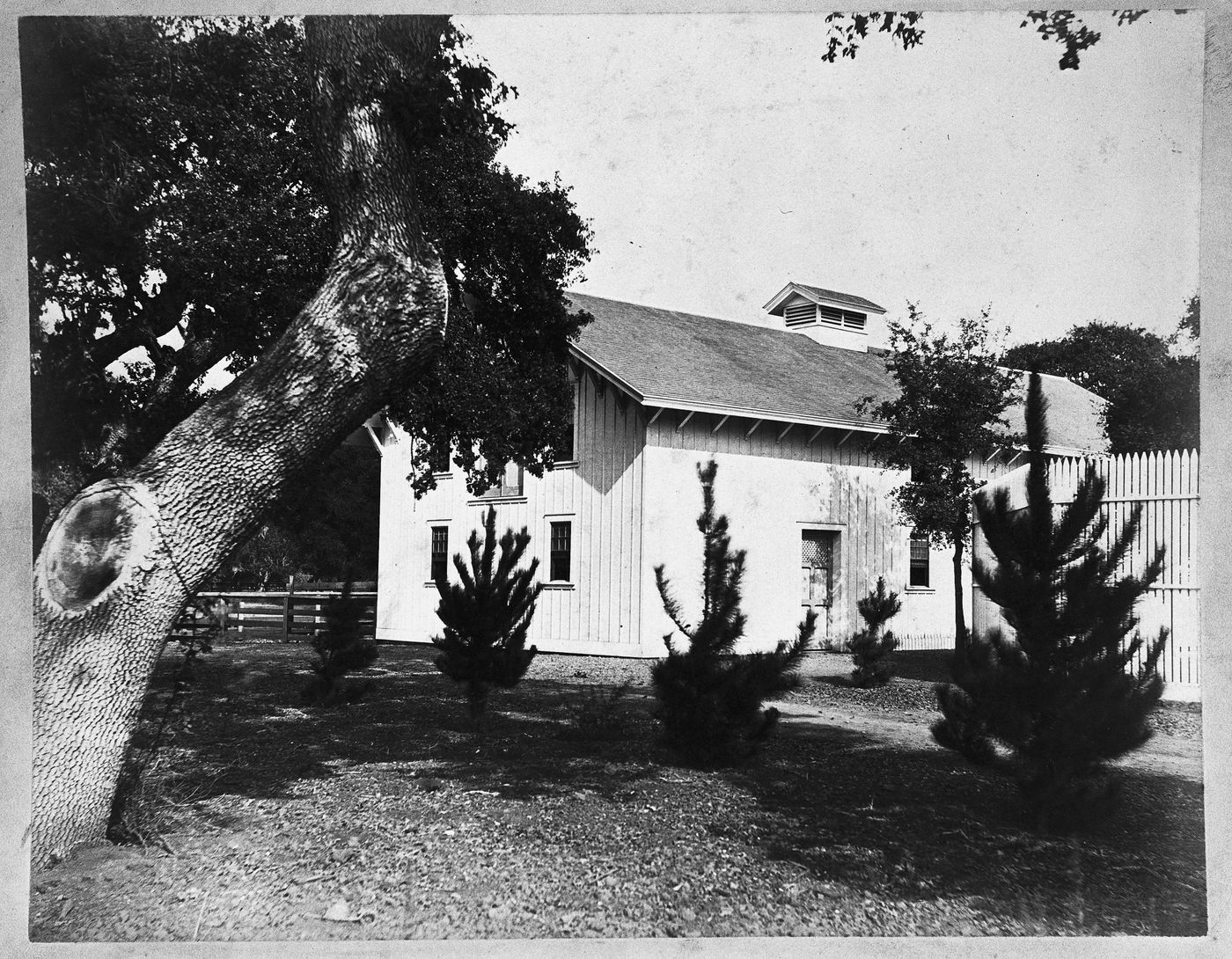 Wooden barn and fence on the grounds, Linden Towers, James Clair Flood Estate, Atherton, California