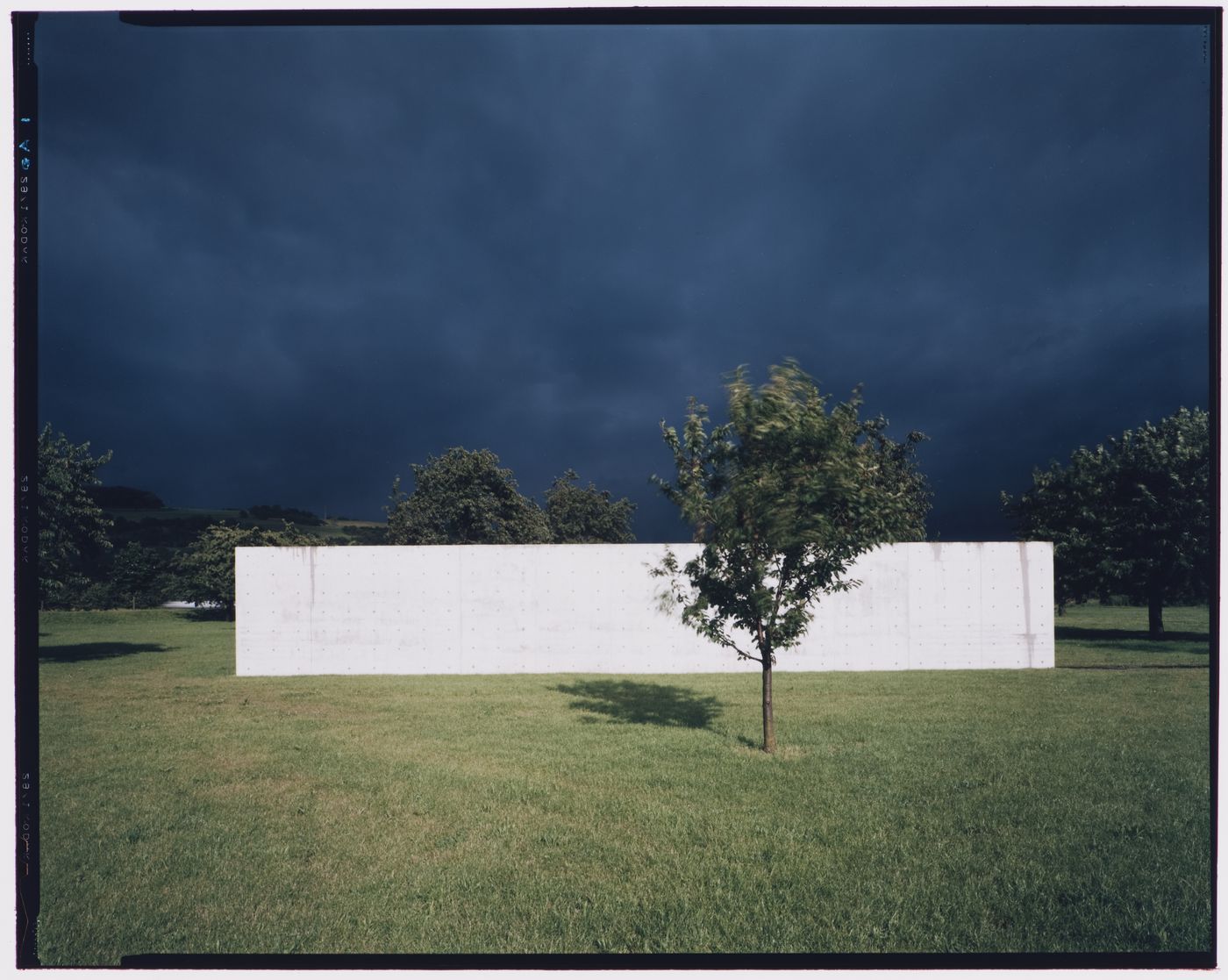 Vitra