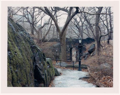 Viewing Olmsted: View of Pathway and Stone Arch, The Ramble, Central Park, New York City, New York