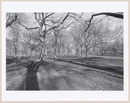 Central Park, Manhattan, New York City, New York