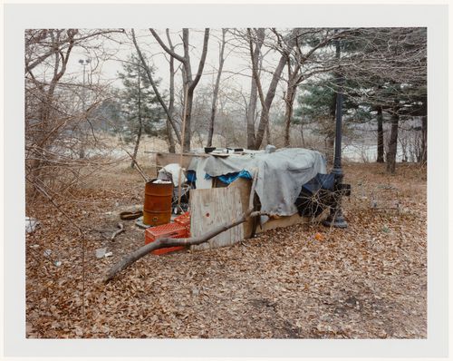 Viewing Olmsted: View of a Shelter for the Homeless on the Penninsula, Prospect Park, Brooklyn, New York City, New York