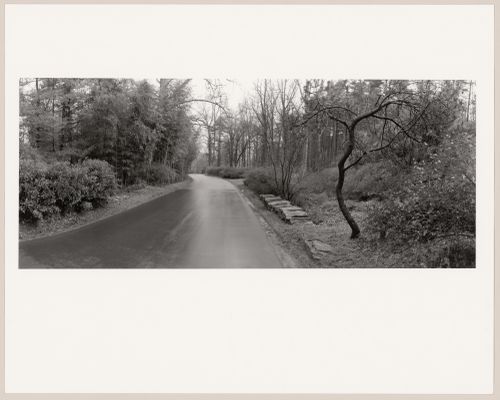 View along the approach road, Biltmore, The George W. Vanderbilt Estate, Asheville, North Carolina