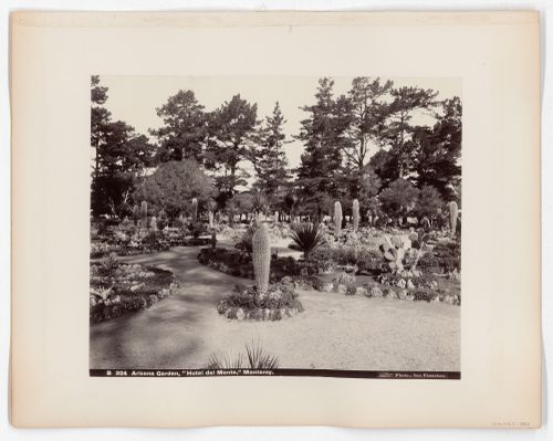 Arizona Garden, "Hotel del Monte", Monterey