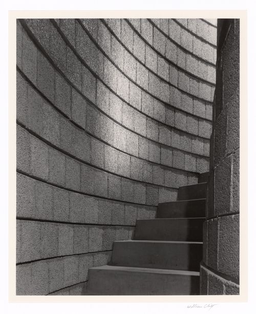 Basement steps, from the series The David and Gladys Wright House
