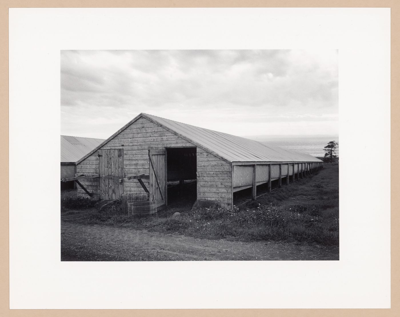 Mink shed, Louis J. Comeau Mink Ranch Ltd., Digby, Nova Scotia, from the series The Forms of Canadian Industrial Architecture