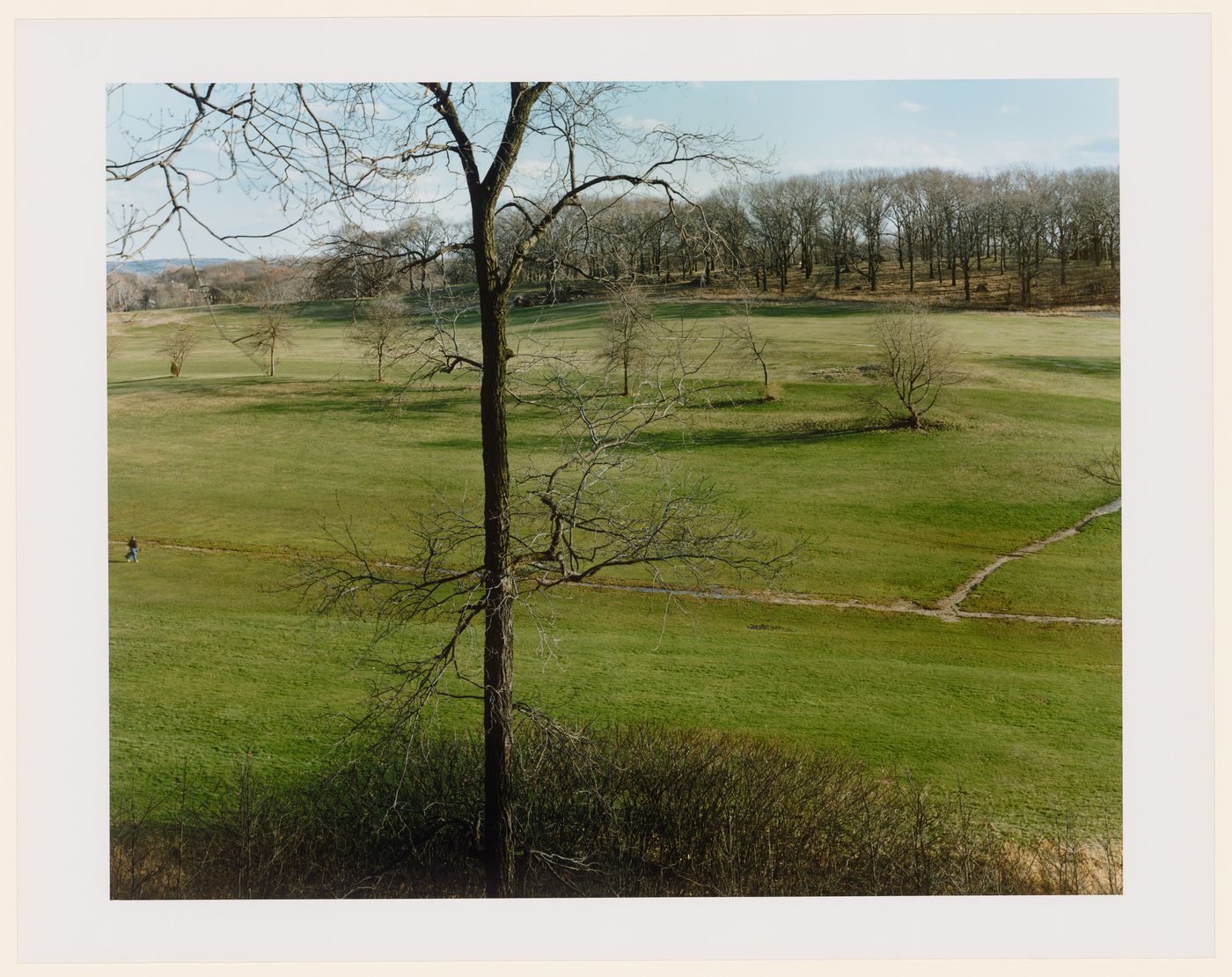 Viewing Olmsted: View of Golf Course, Franklin Park, Boston, Massachusetts