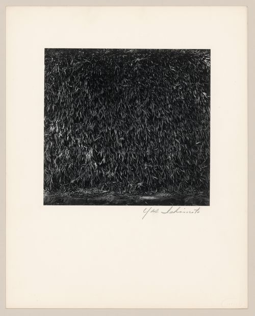 Detail of the living-bamboo fence, Katsura Rikyu (also known as Katsura Imperial Villa), Kyoto, Japan